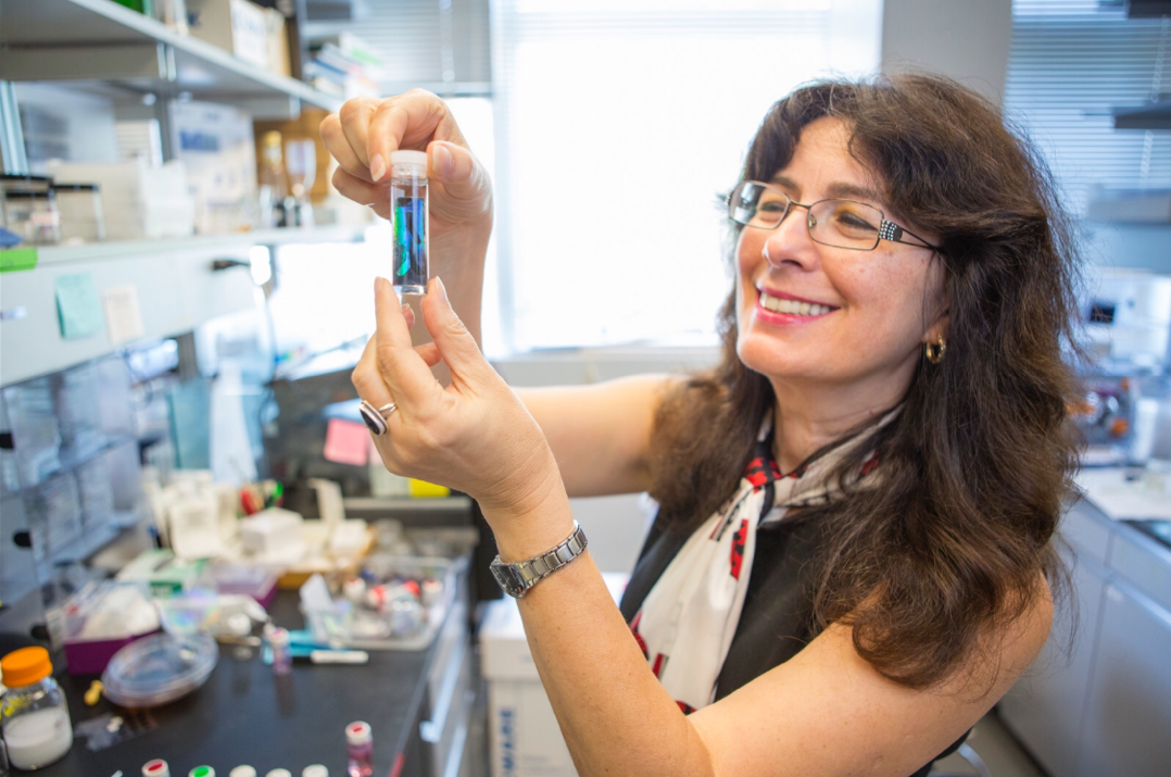 Hall of Fame Highlight: Joanna Aizenberg | Aizenberg Lab