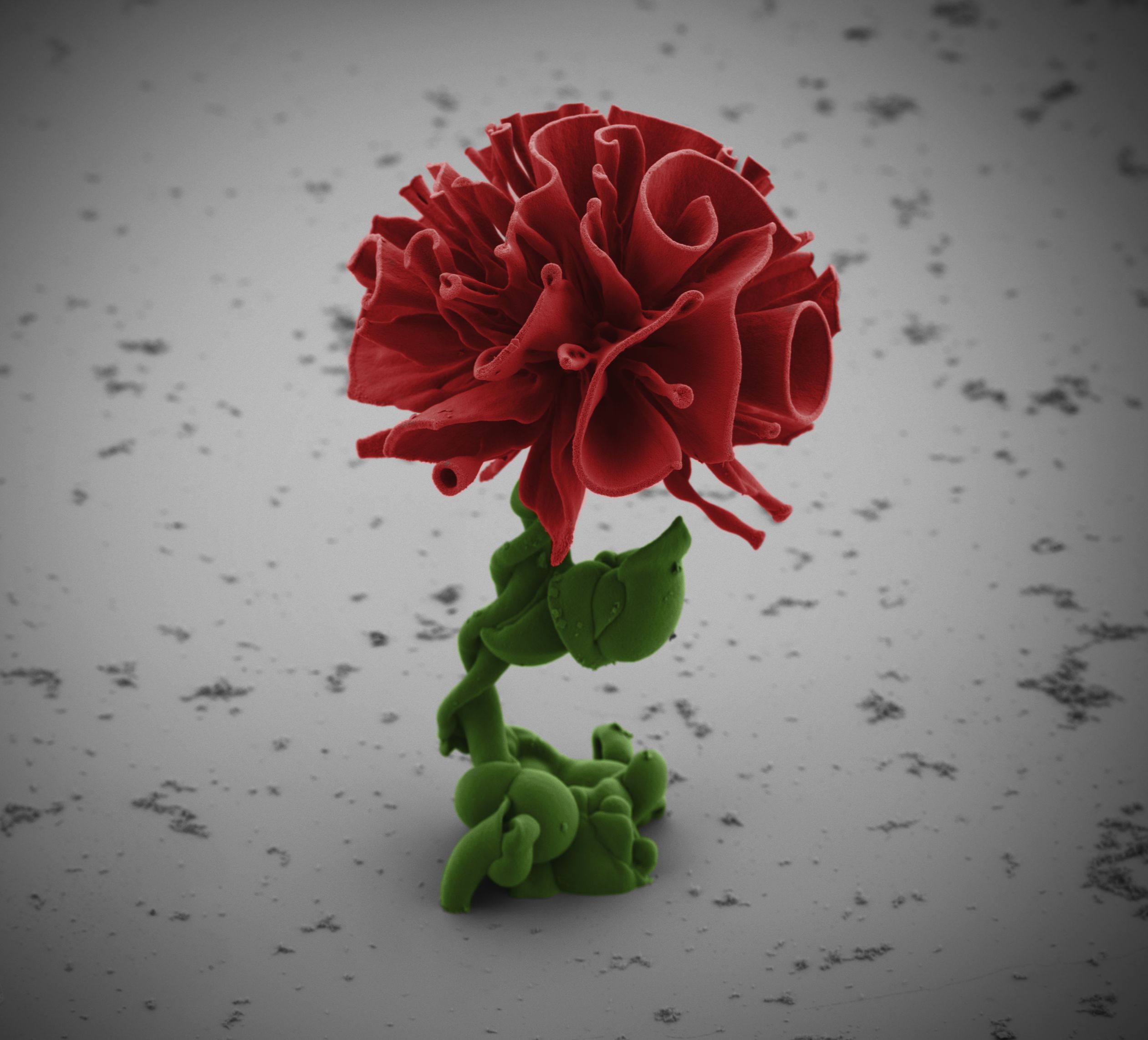 Rationally designed microstructures 1