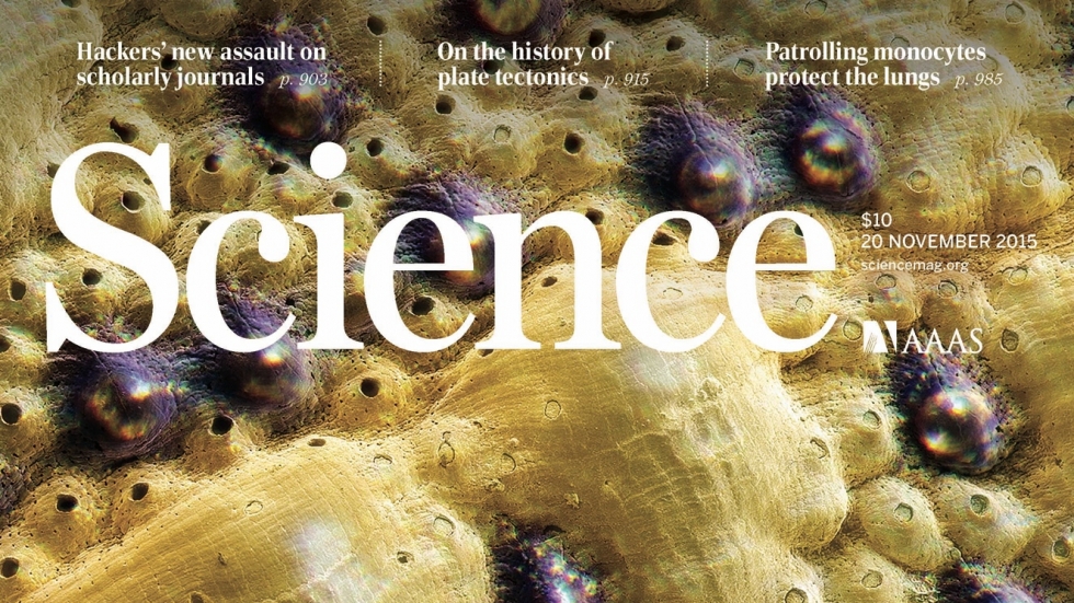 11.20.cover_.jpg