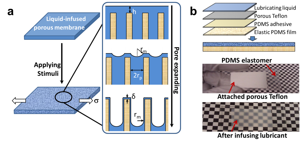 Dynamic, adaptive fluidic surfaces for multifunctional tunability 1