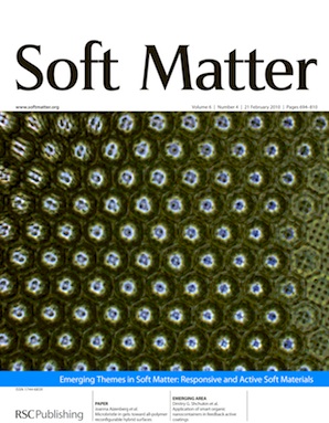 2010_soft_matter_microbristle_in_gel_cover.jpg