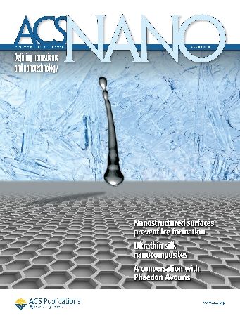 acs_nano_lidiya.jpg