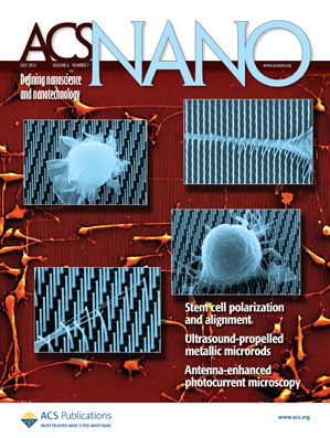 acsnanocover_bucaro2012.jpg