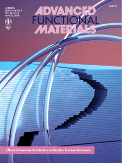 afm_cover.jpg