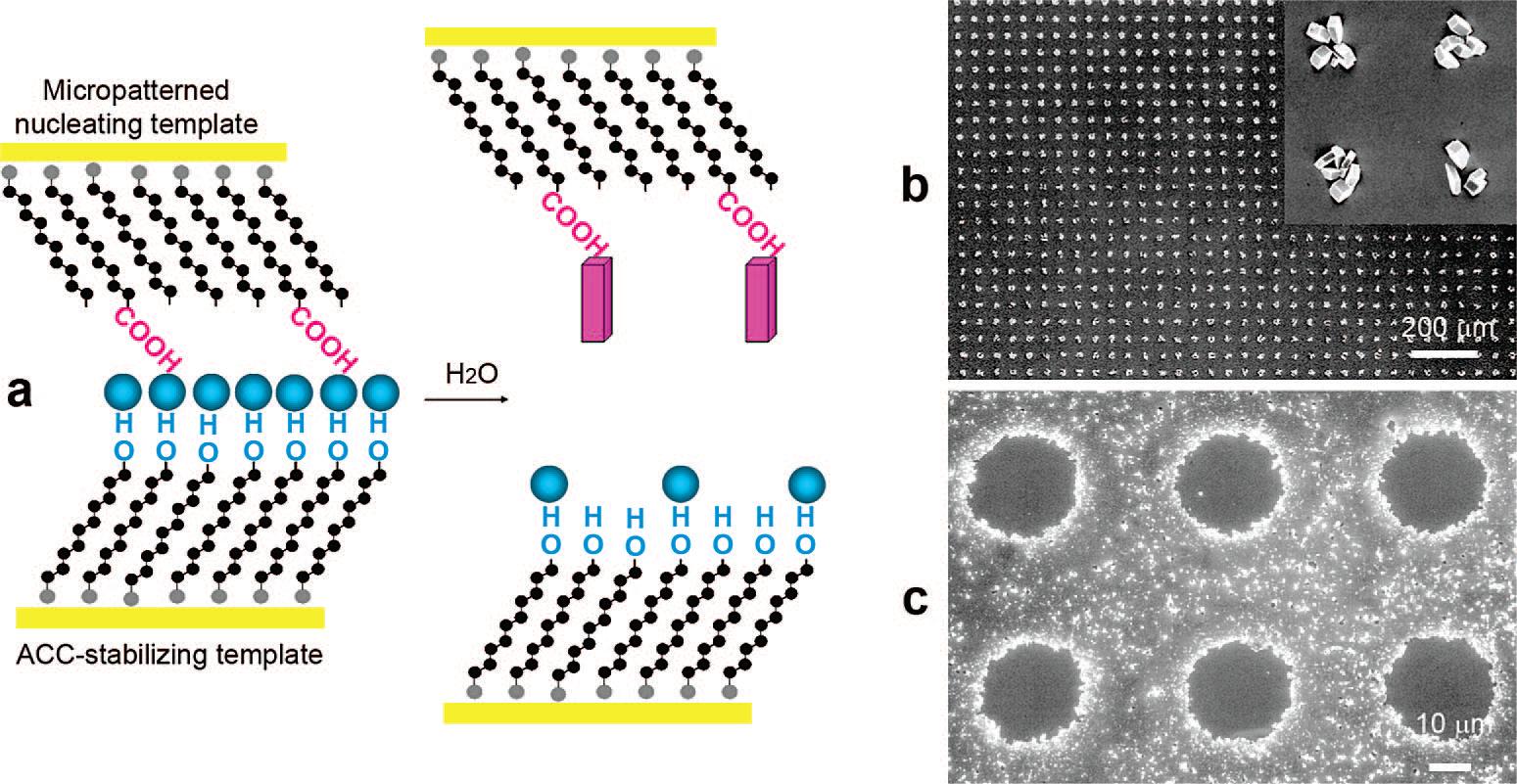 Controlled amorphous-to-crystalline transitions 1