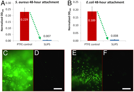Fig. 1: The slippery liquid surface almost completely (up to >99%) prevents surface contamination by a wide range of pathogenic bacteria.