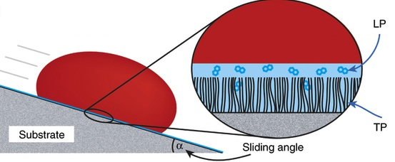 Fig. 8: A covalently tethered