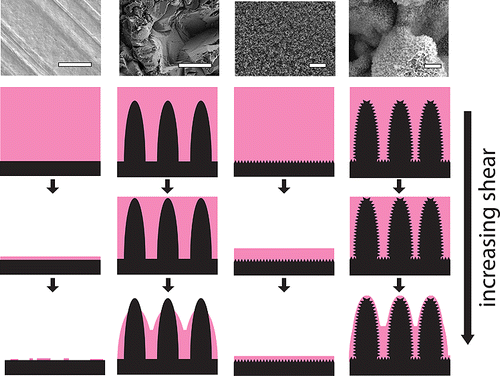 Fig. 2: Uniformly nanoscale texture