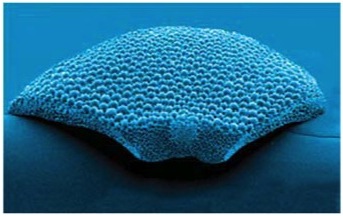 Tunable Microlenses 2