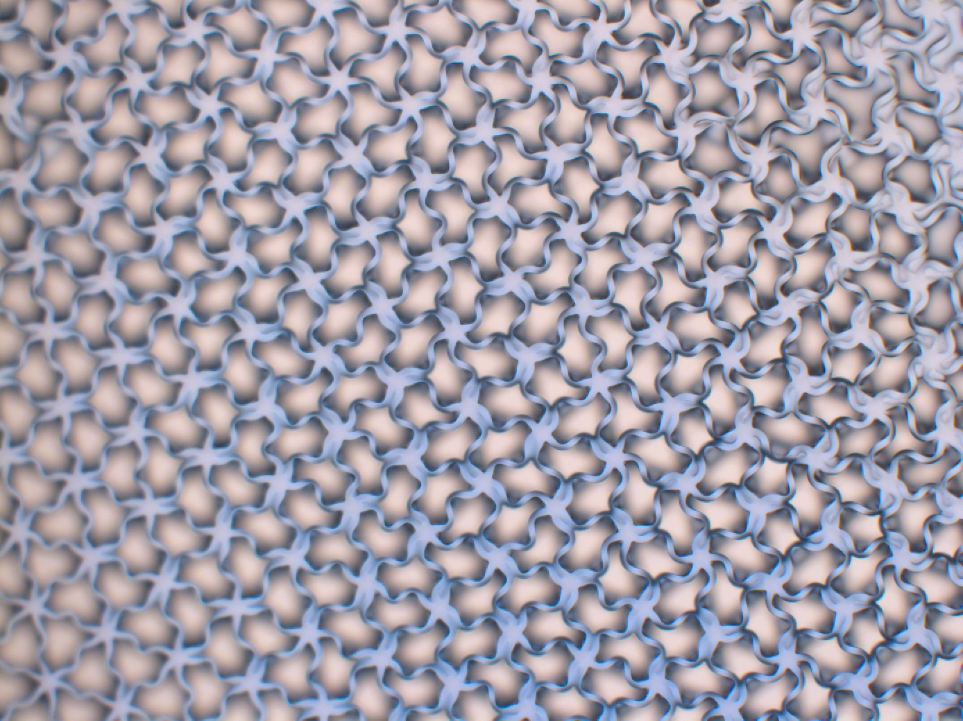 Buckled pHEMA cellular structure by DoYoon