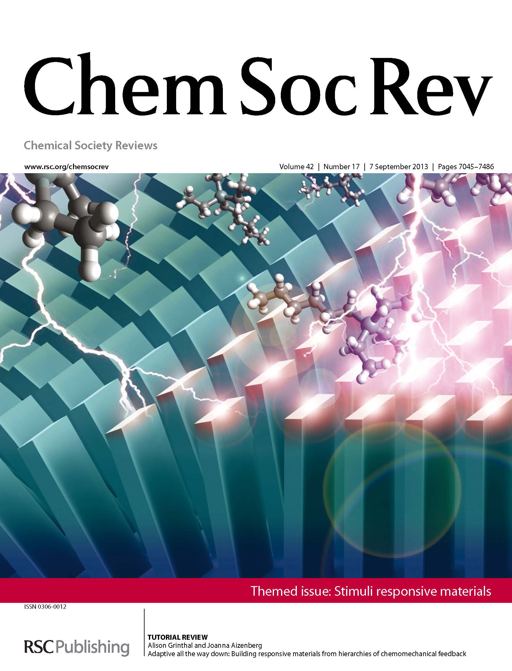 chemsocrev_cover.jpg