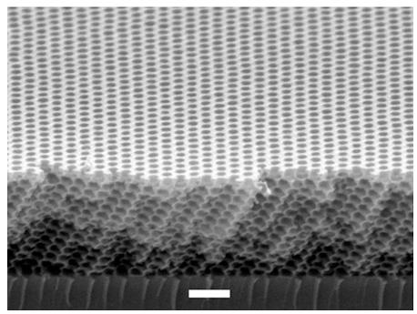 Colloidal co-assembly 1