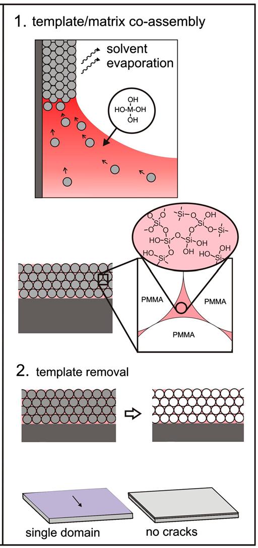 Colloidal co-assembly 2