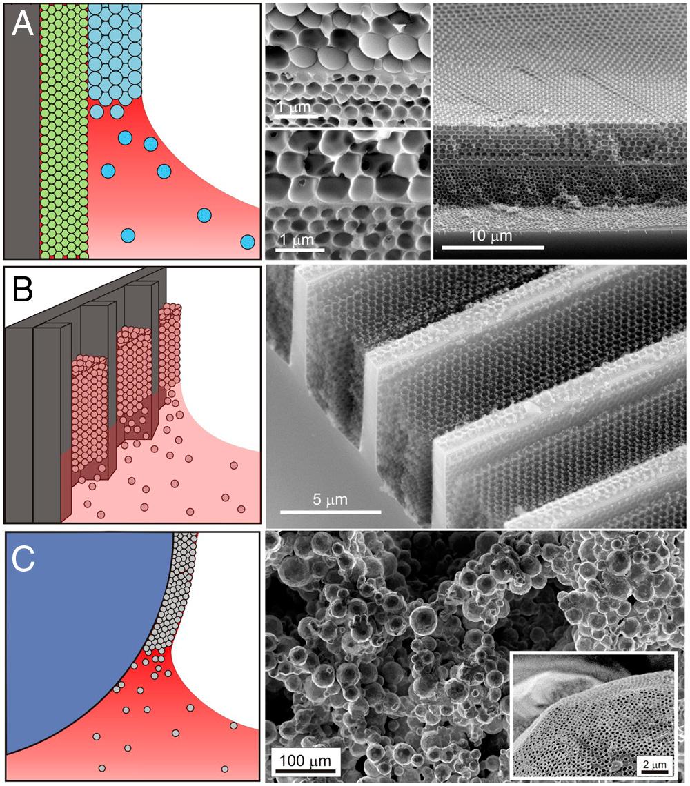 Colloidal co-assembly 3
