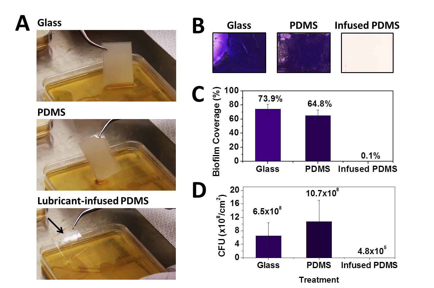 Vascularized self-lubricating surfaces 3