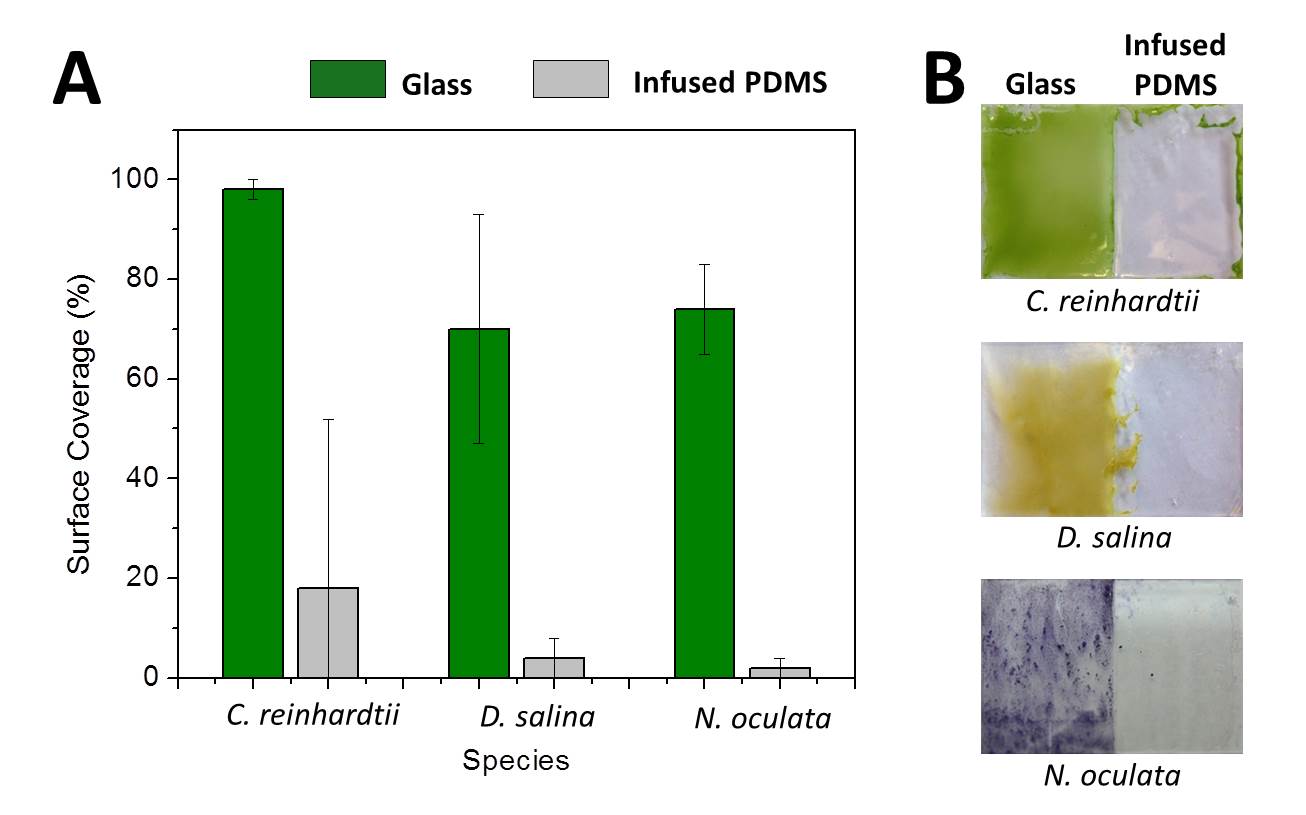 Vascularized self-lubricating surfaces 5