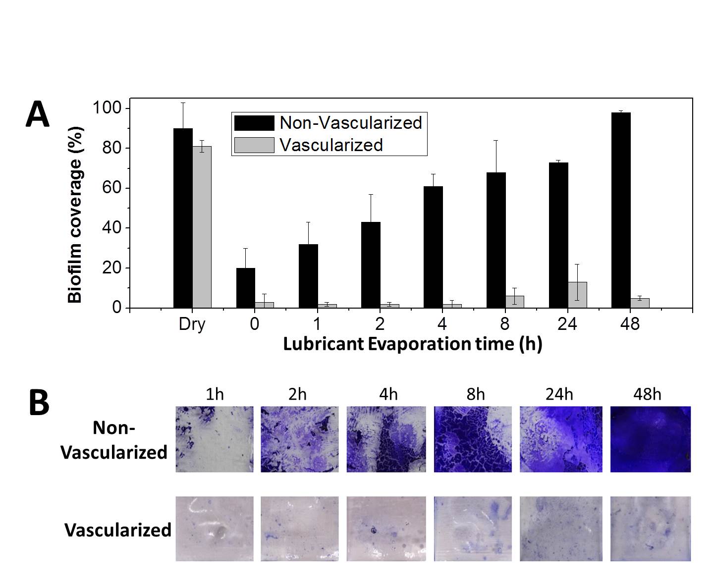 Vascularized self-lubricating surfaces 6