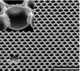 Fig. 3: Highly regular porous