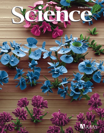 noorduin2013_science.jpg