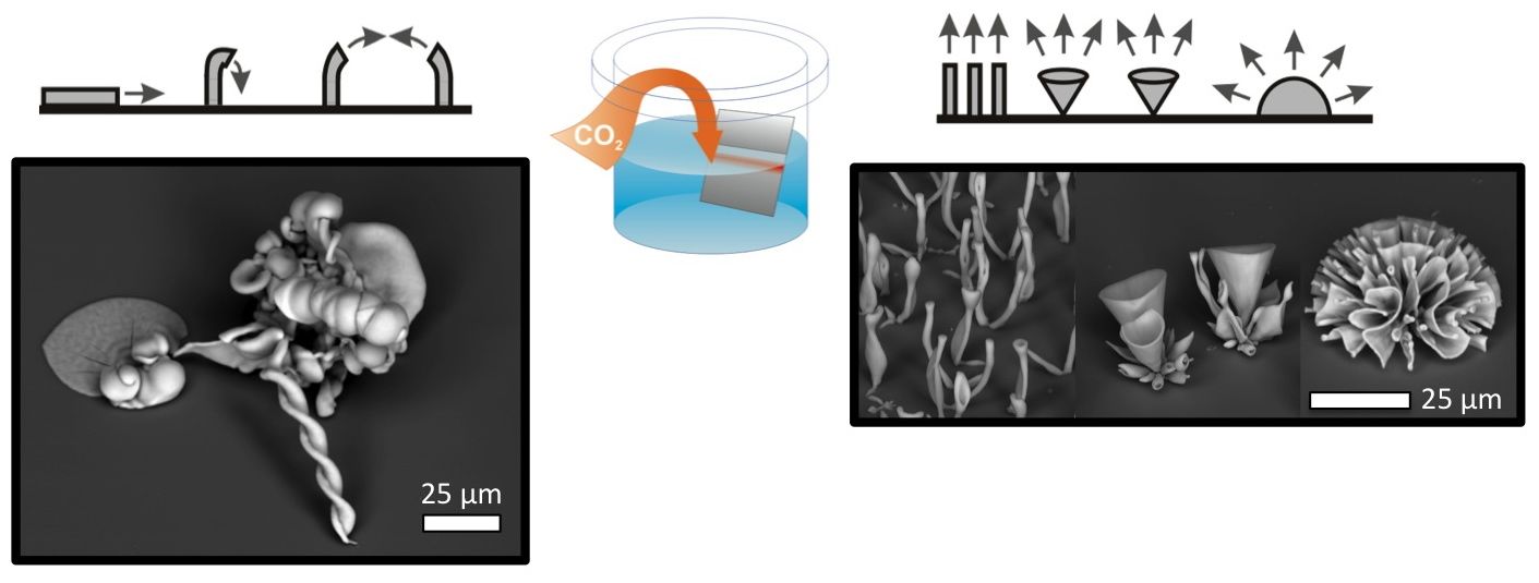 Rationally designed microstructures 7