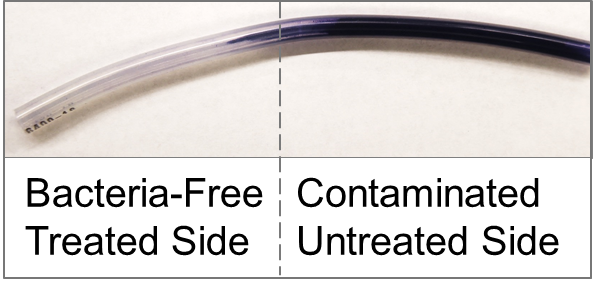 Fig. 6: Photograph of CV-stained