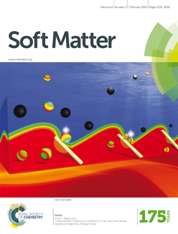 softmatter2016.jpg