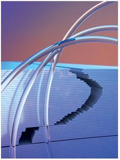 Biological engineering principles 1