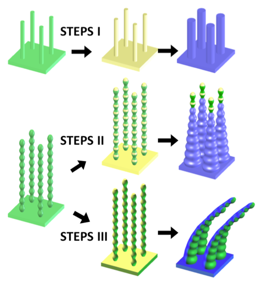 STEPS 1