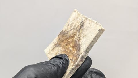 Wool-biocomposite panel