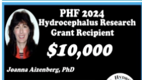 hydrocephalus_prize