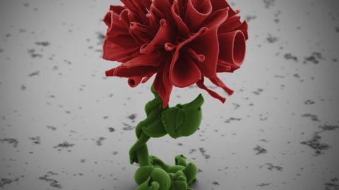 Rationally designed microstructures 1