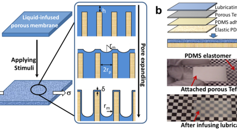 Fig. 1: Design, fabrication, and mechanica