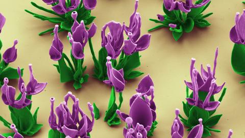 Rationally designed microstructures 4