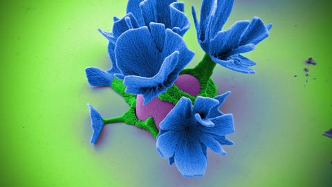 Rationally designed microstructures 5