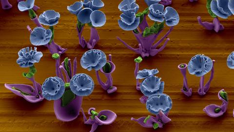 Rationally designed microstructures 3