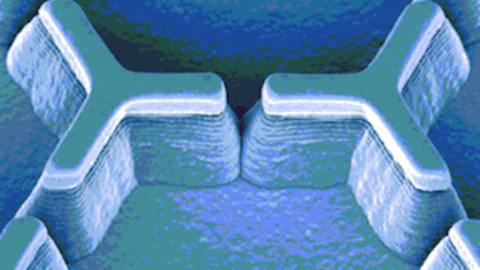 2012_nature_protocols_cover.gif