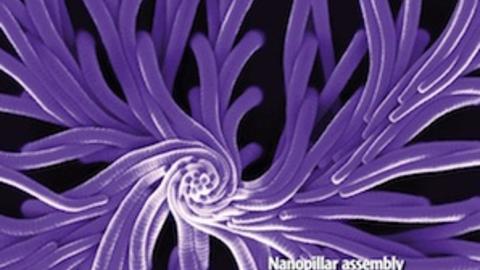 acs_nano_sung_cover.jpg