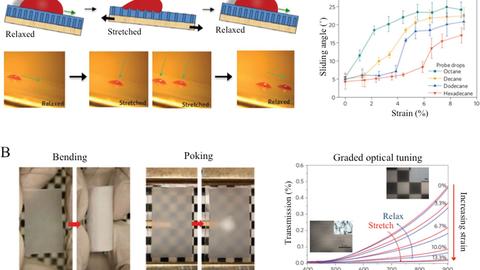 Dynamic, adaptive fluidic surfaces for multifunctional tunability 2