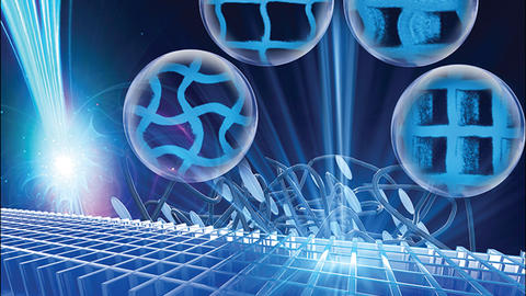 Controlling Liquid Crystal Orientations for Programmable Anisotropic Transformations in Cellular Microstructures (Adv. Mater. 42/2021)