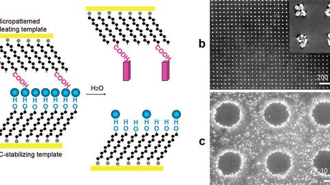 Controlled amorphous-to-crystalline transitions 1