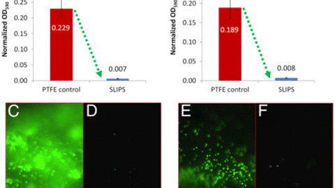 Fig. 1: The slippery liquid surface almost completely (up to >99%) prevents surface contamination by a wide range of pathogenic bacteria.