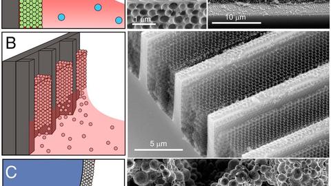 Colloidal co-assembly 3