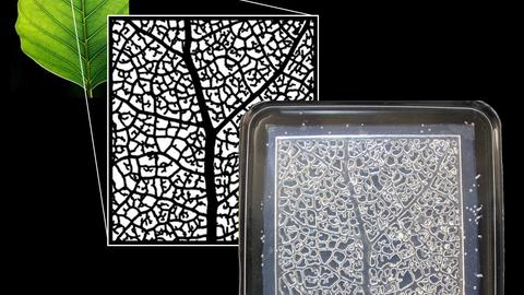 Vascularized self-lubricating surfaces 1