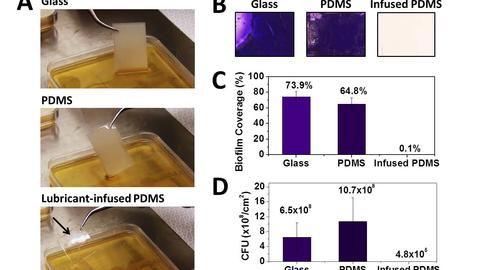 (A) Removal of glass