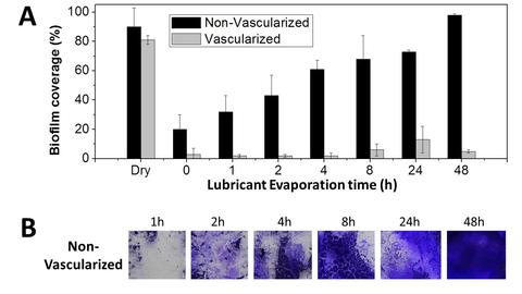 Vascularized self-lubricating surfaces 6