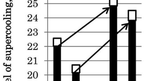 Fig. 3: The smooth, defect-free SLIPS