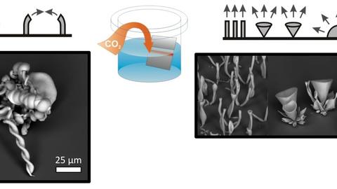 Rationally designed microstructures 7