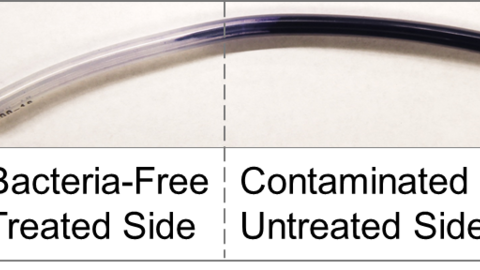 Fig. 6: Photograph of CV-stained