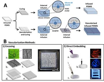 (A) Schematic of the process