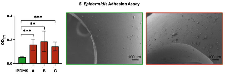 S. epidermidis incubated on various surfaces